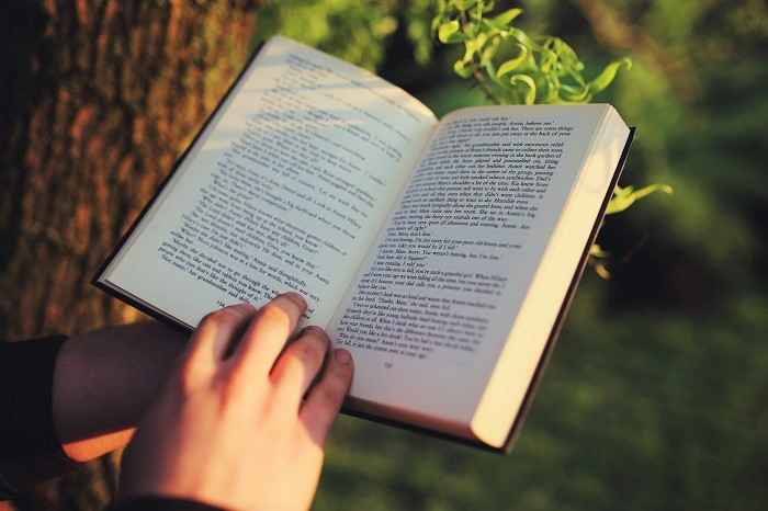 Libri sulla marijuana: i 5 migliori testi sul mondo della canapa