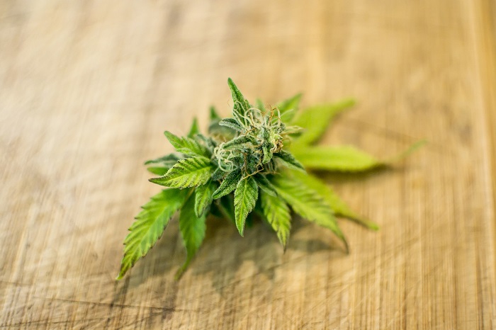 Effetti e Benefici della Cannabis