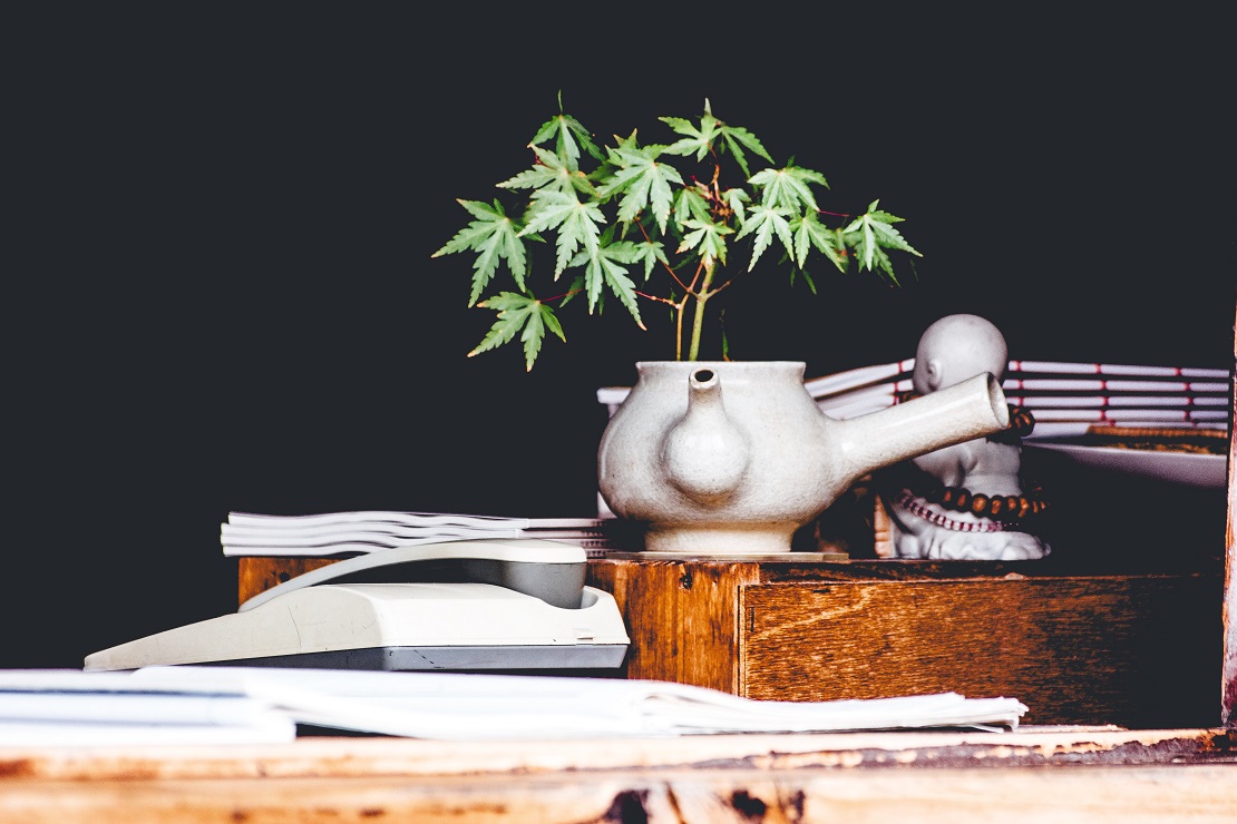 Legalizzazione della Cannabis in Italia al 2018: a che punto siamo?
