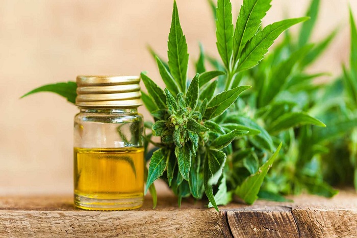 Olio di Canapa e Cancro: Tutto quello che c'è da sapere