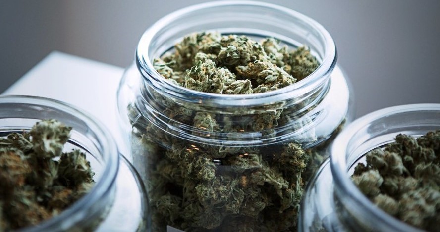 Cannabis Light: le ultime novità