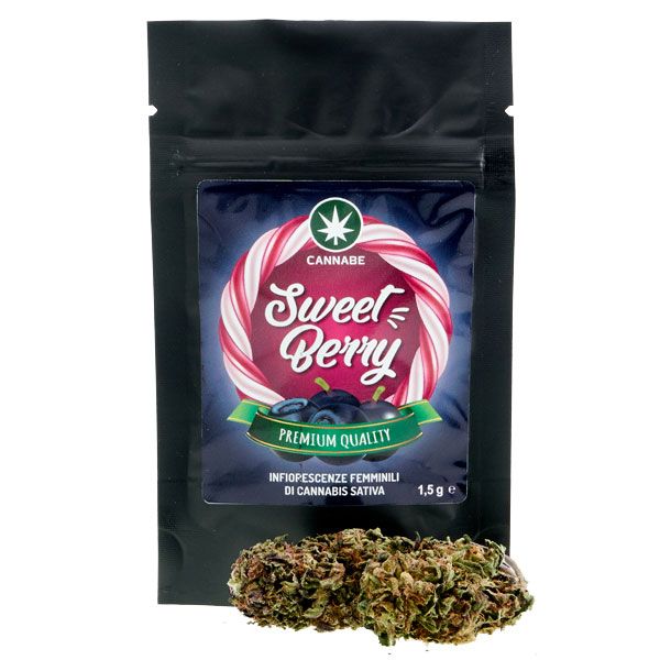but canapé lit sweet berry cannabis light con cbd cannabe but canapé lit sweet berry cannabis light con cbd cannabe